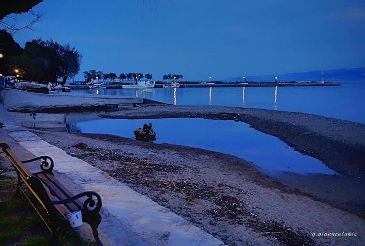 דירות פלאטניאס Harmony Seaside Pelion מראה חיצוני תמונה