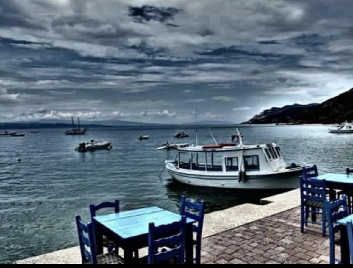 דירות פלאטניאס Harmony Seaside Pelion מראה חיצוני תמונה