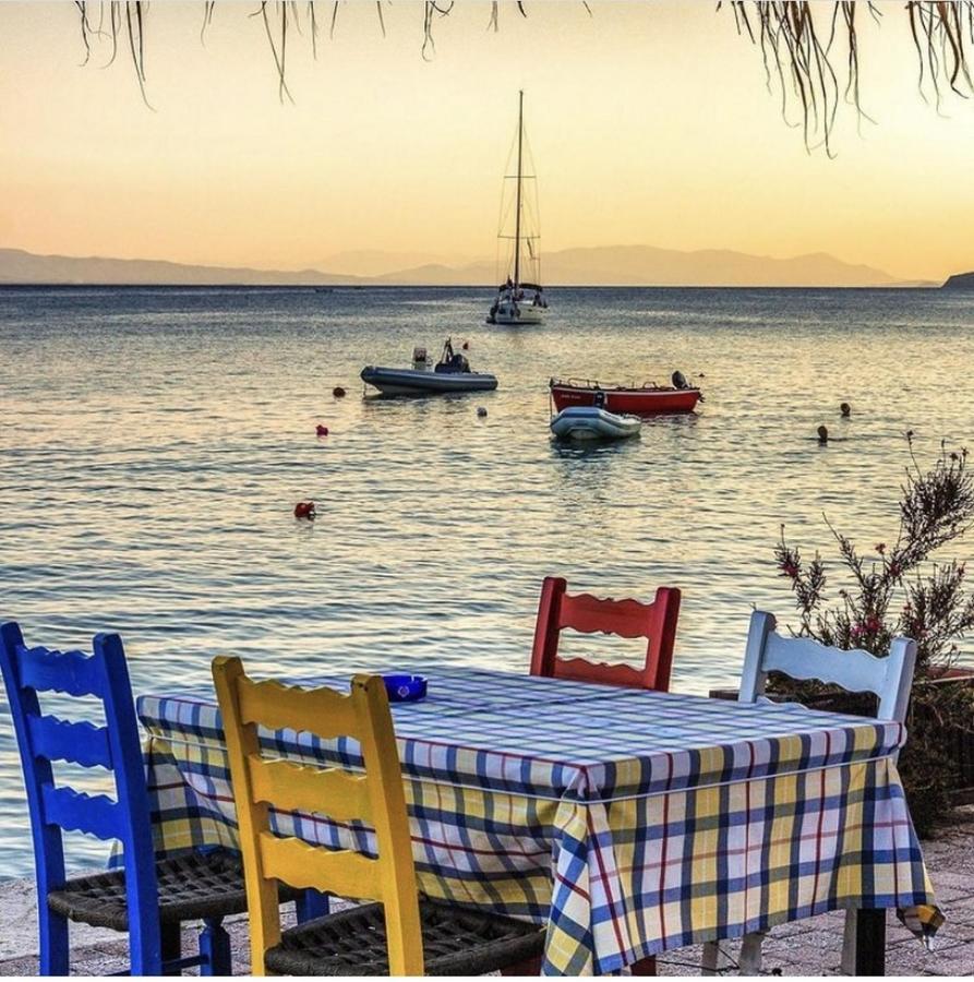 דירות פלאטניאס Harmony Seaside Pelion מראה חיצוני תמונה