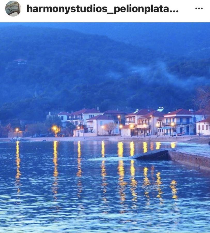 דירות פלאטניאס Harmony Seaside Pelion מראה חיצוני תמונה