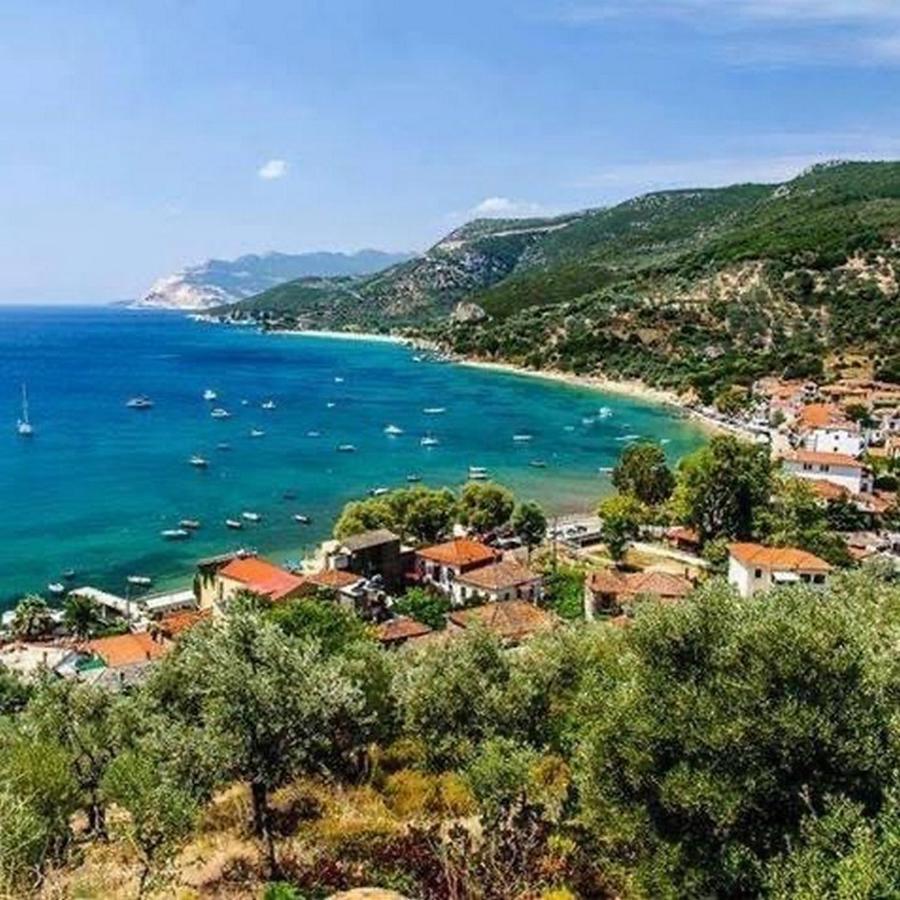 דירות פלאטניאס Harmony Seaside Pelion מראה חיצוני תמונה