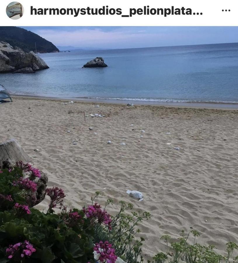 דירות פלאטניאס Harmony Seaside Pelion מראה חיצוני תמונה