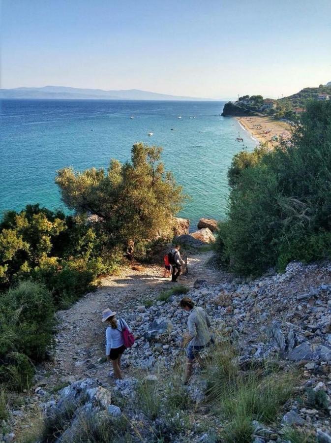 דירות פלאטניאס Harmony Seaside Pelion מראה חיצוני תמונה