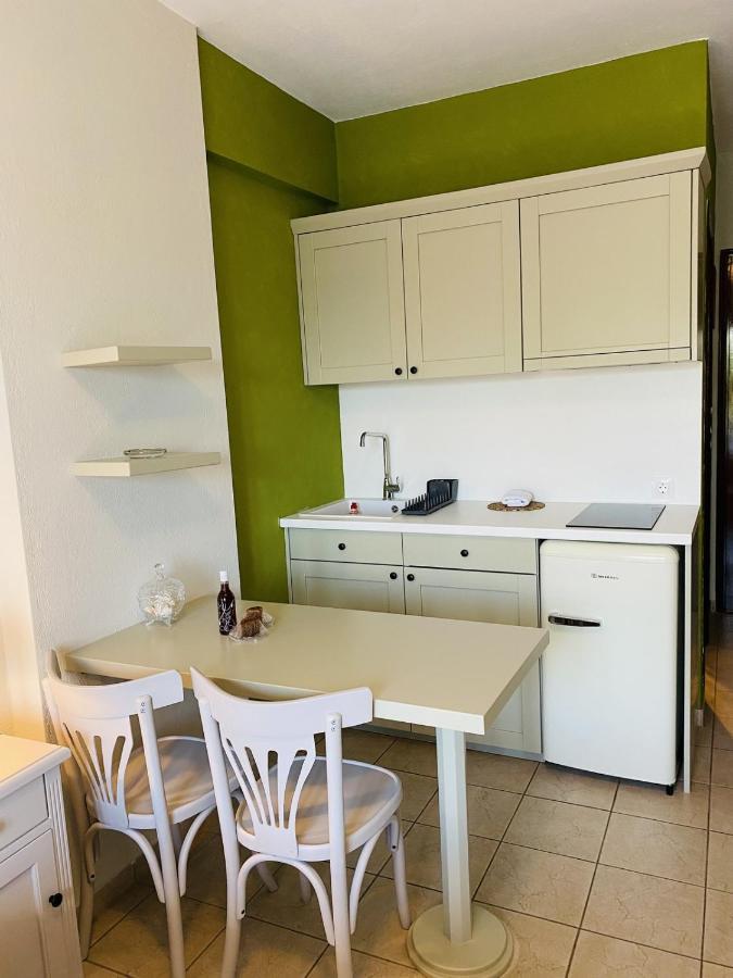 דירות פלאטניאס Harmony Seaside Pelion מראה חיצוני תמונה