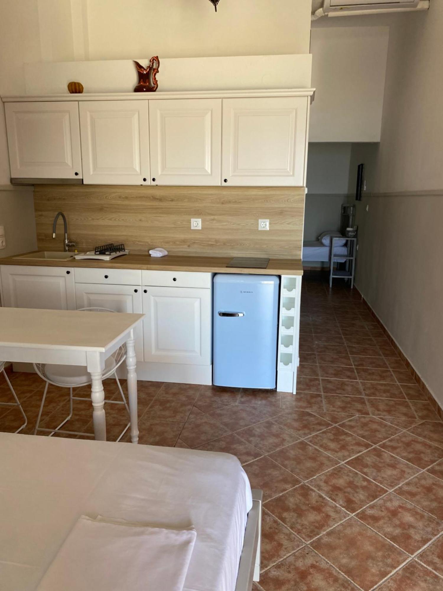 דירות פלאטניאס Harmony Seaside Pelion מראה חיצוני תמונה
